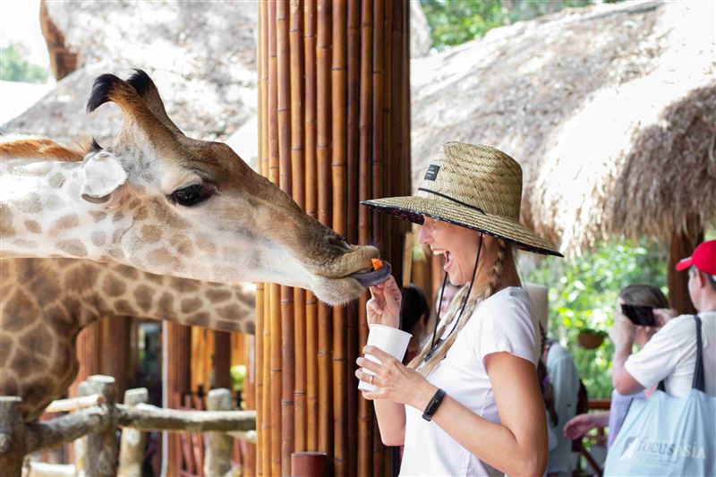 VinWonders Phu Quoc & Vinpearl Safari Tickets – Combo Theme Park & Safari Zoo