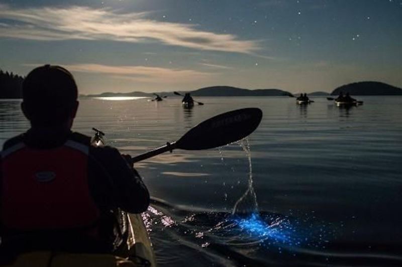Sunset and Plankton Bioluminescent Night Kayak – Lan Ha Bay