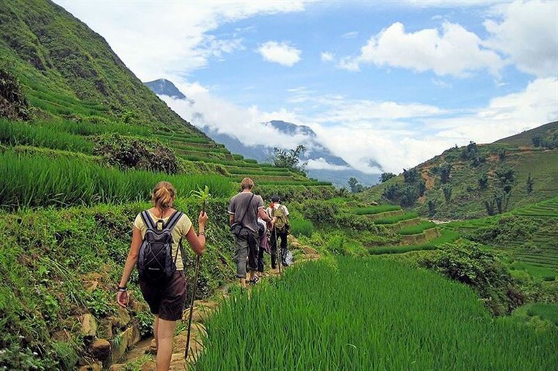 Sapa Scenic Trekking through Rice Terraces & Local Villages