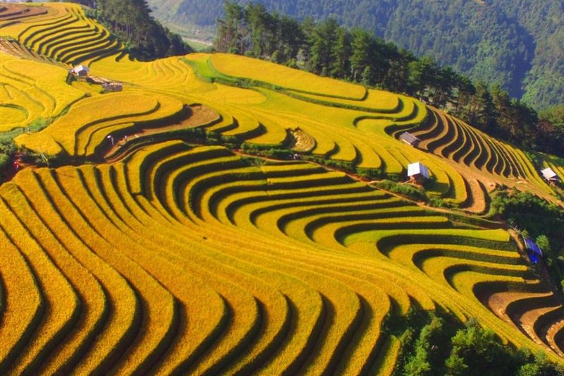 Private 10 Day Tour From The North to Central of Vietnam