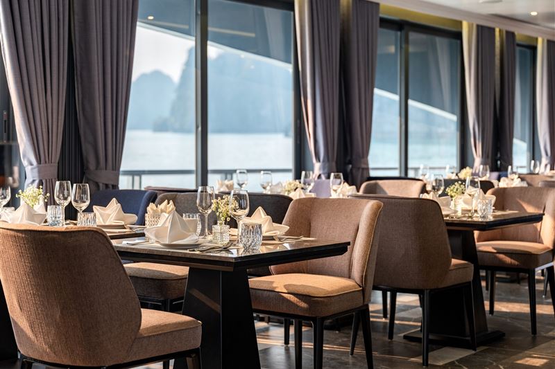 Taliya Cruise – TOP Luxury Cruise Journey in Lan Ha Bay