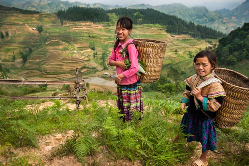 North Vietnam at a Glance: Halong bay & Sapa 5 days