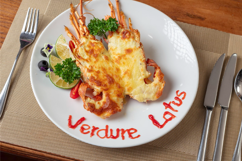 Verdure Lotus Cruises – Luxury Cruise on Lan Ha Bay