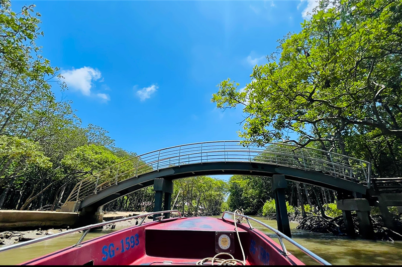 Private Vam Sat Ecological (Monkey Island & Mangrove Forest) Full Day