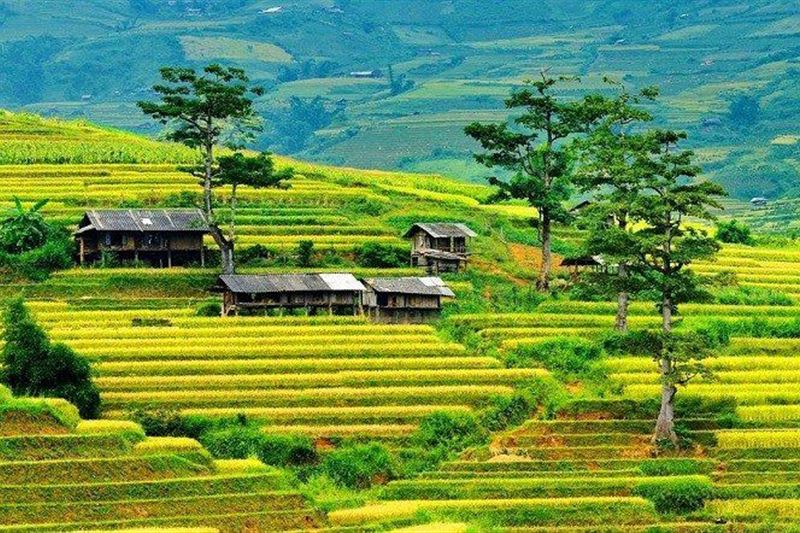 Best of North Viet Nam 7 days