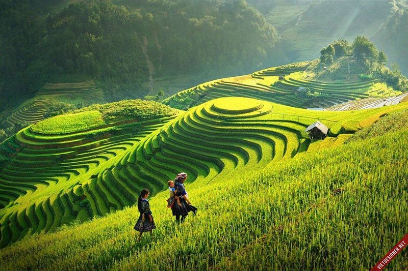 Activity package whole Viet Nam 14 days - South - Central - North